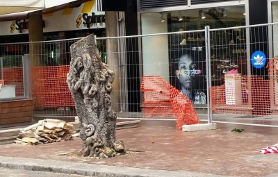 alberi politeama